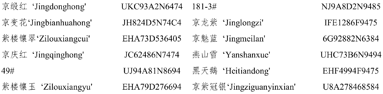 SSR molecular markers for identifying Paeonia sect. Moutan variety and application thereof