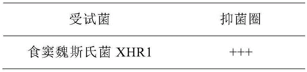 Weissella cibaria XHR1 and applications thereof and weissella cibaria XHR1 containing pickled vegetable