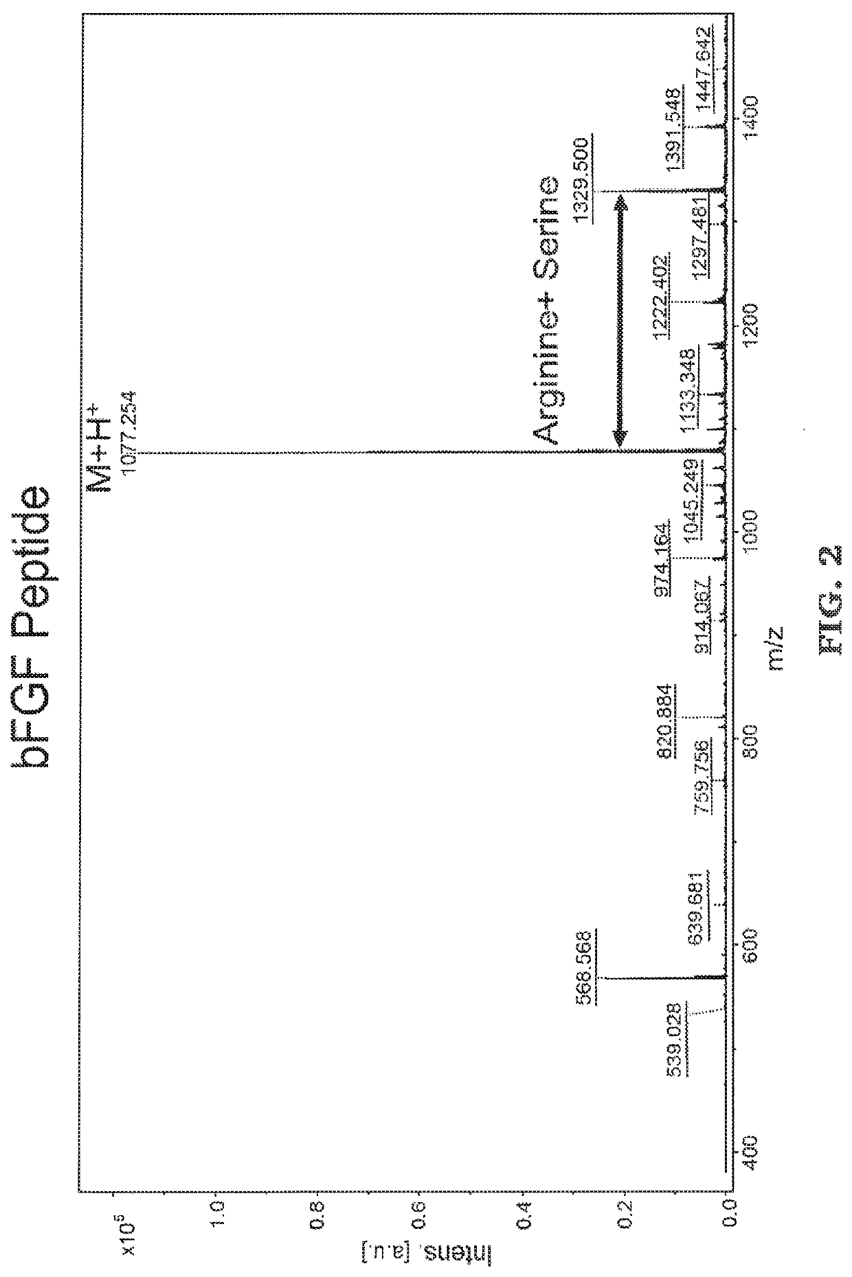 Post-3d printing functionalization of polymer scaffolds for enhanced bioactivity