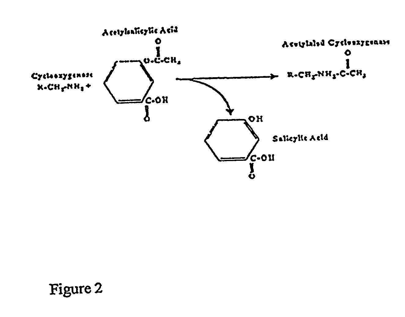 Kits for determination of thromboxane B2 metabolite and optimizing aspirin dosage