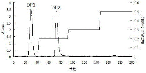 Method for separating and purifying polysaccharides from winter jujubes