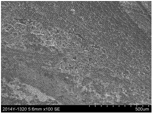 Low-resistance high-efficiency lead-free back silver pulp for amorphous silicon solar battery