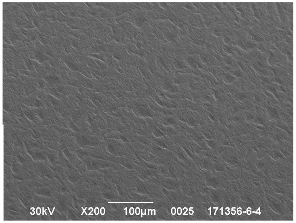 Surface grinding and polishing process of cathode titanium roller for raw foil manufacturing