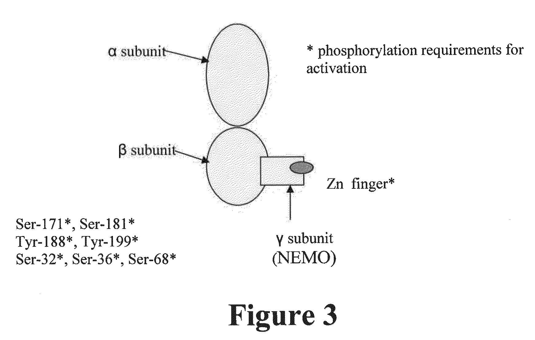 Method for repair of acute and chronic injury, such as burned and photodamaged skin