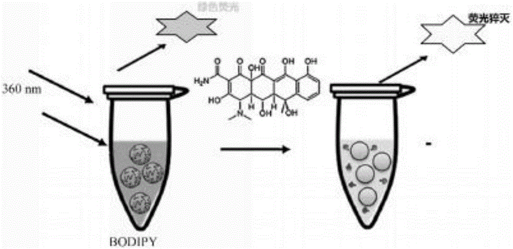 Preparation method of fluorescent probe and oxytetracycline detection method based on same