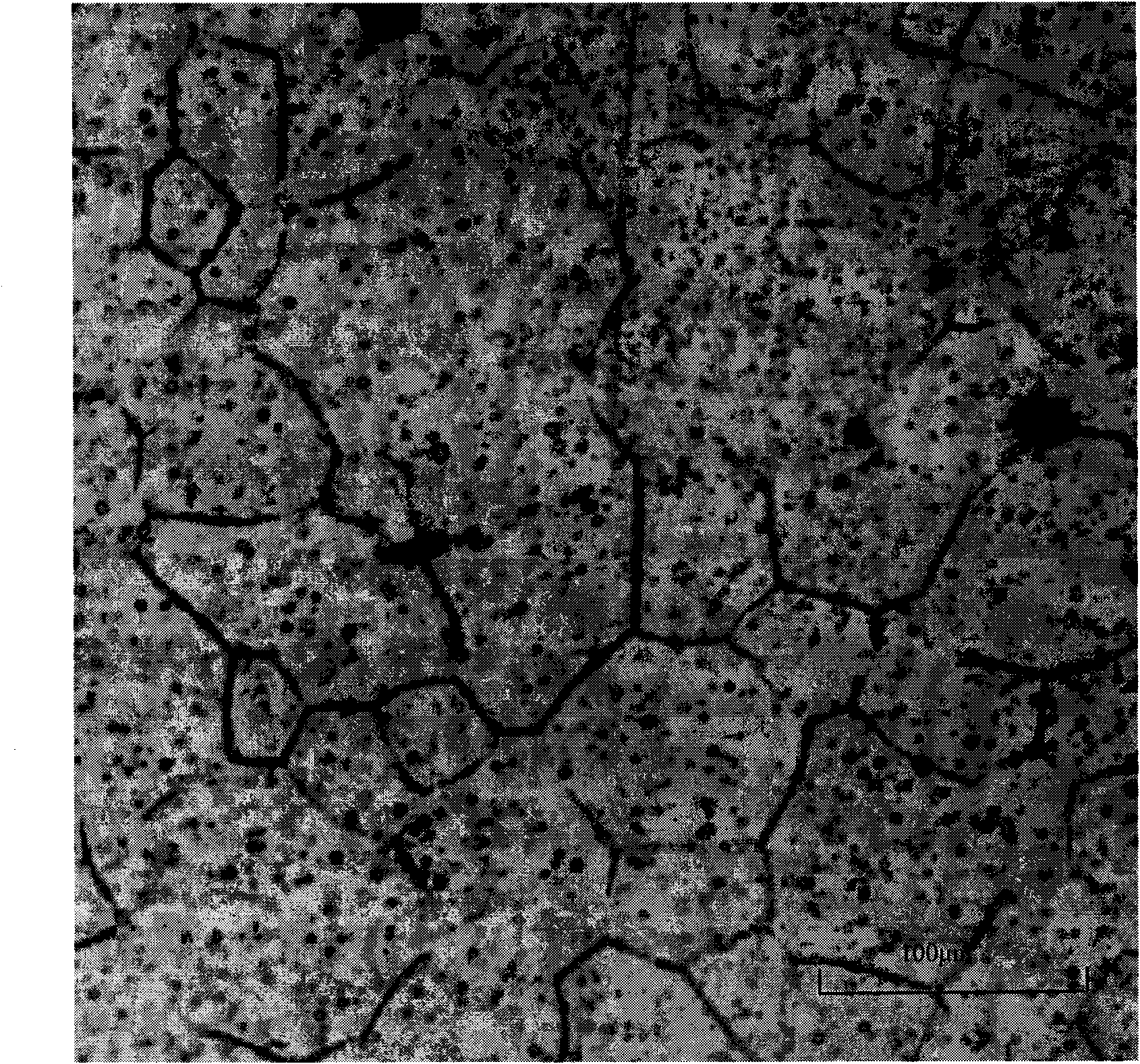 Wrought magnesium alloy and preparation method thereof