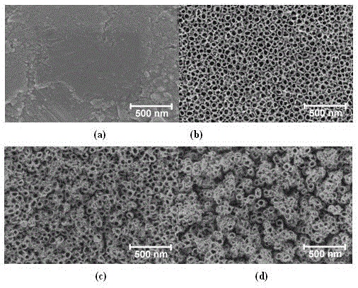 Titanium dioxide nanotube with good osteogenesis promoting function and preparation method thereof