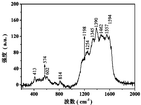 Polyaniline nanometer flower-modified carbon cloth electrode and preparation method and application thereof