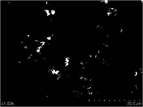 Polyaniline nanometer flower-modified carbon cloth electrode and preparation method and application thereof