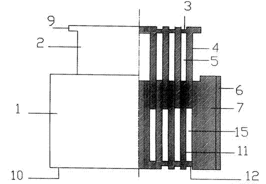 Universal protective seal plug for pipe hole