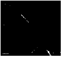 Ag/BNNSs nano material modified epoxy resin composite coating layer