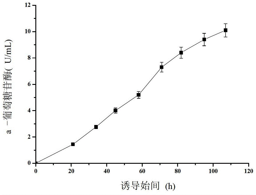 Aspergillus niger alpha-glucosidase gene and high-efficiency expression method thereof