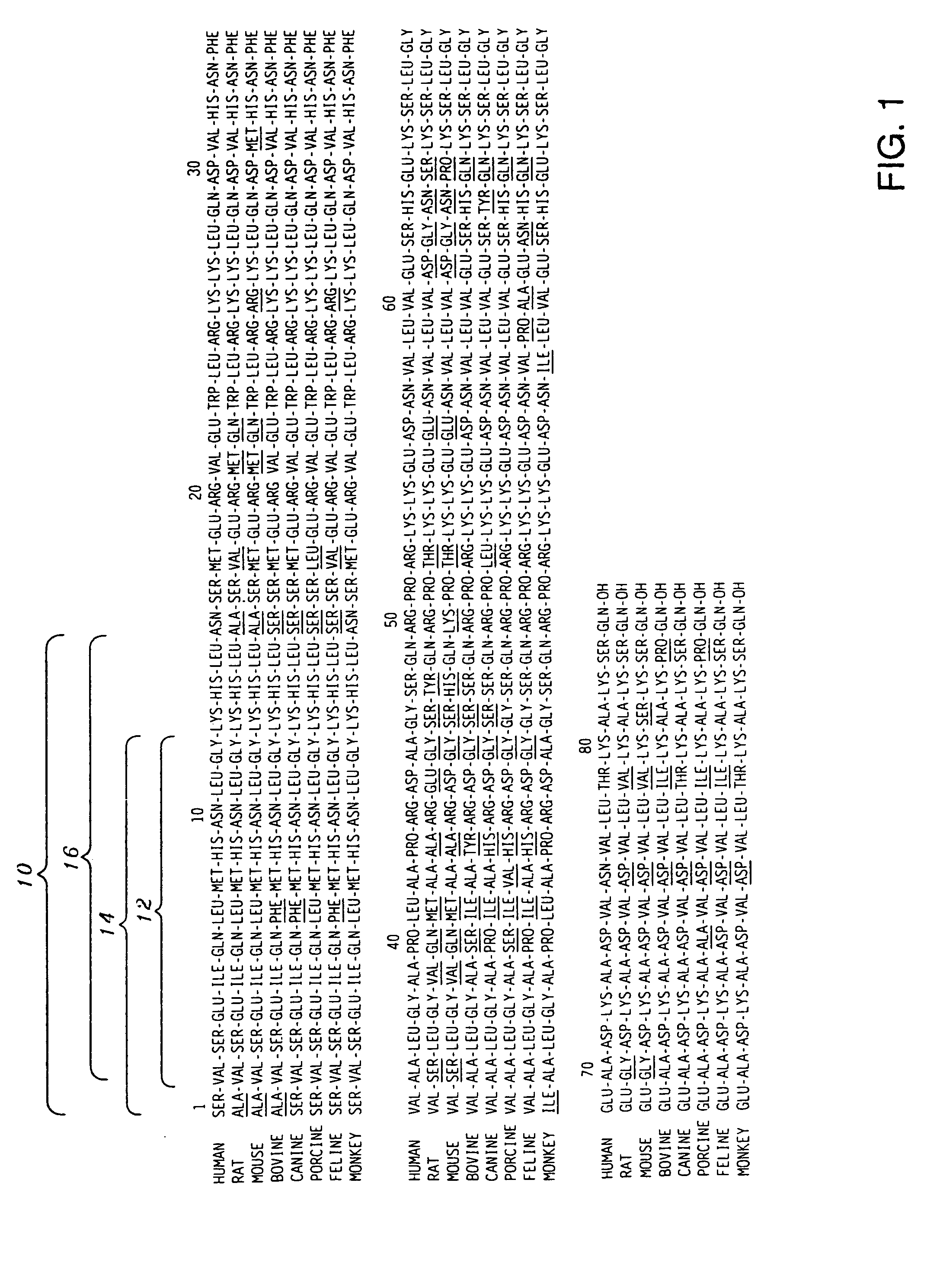 Antibodies and peptide antigens for producing antibodies having a selective binding specificity to bioactive intact parathyroid hormone (PTH) 1-84