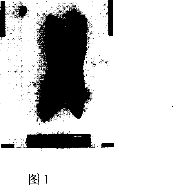 Production of thermal roll-oil composition from water-dispersion clay