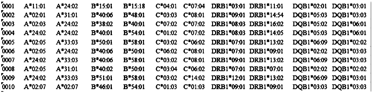 Primers, kit and method for high-resolution typing of HLA gene