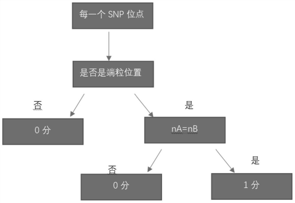 Gene scar for characterizing HRD homologous recombination repair defects and identification method