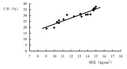 Simple method for measuring and calculating potato block dry matter rate