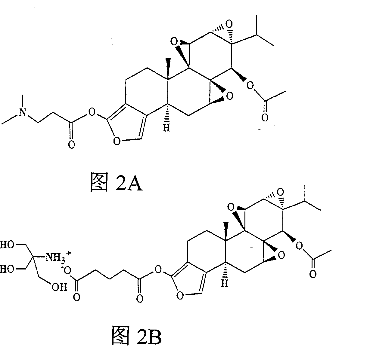 Tripterygium wilfordii lactone prodrugs having high aqueous solubility