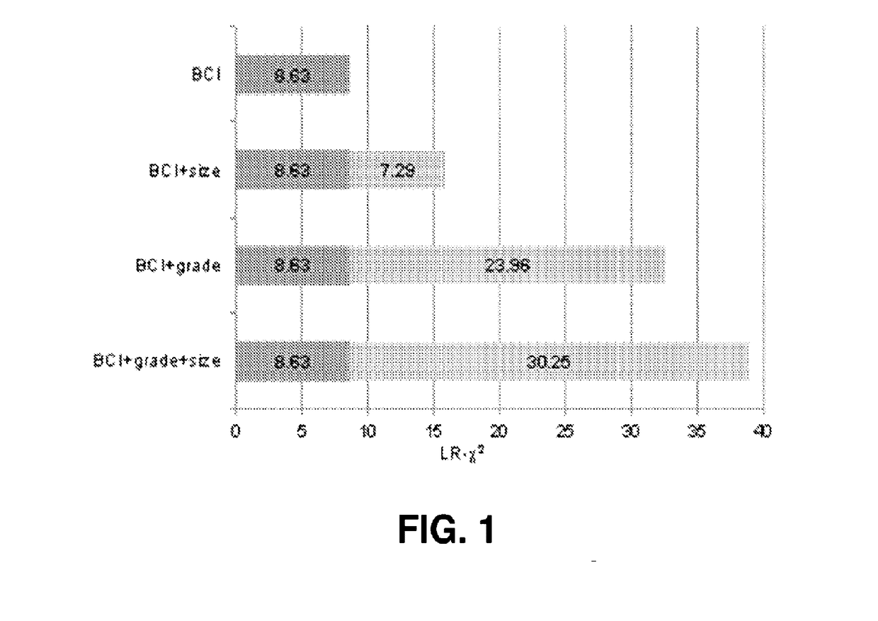 Integration of tumor characteristics with breast cancer index