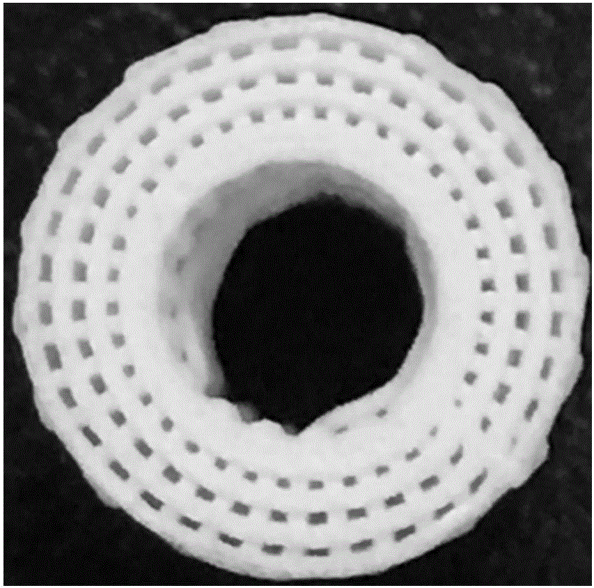 Method for preparing titanium/hydroxyapatite biological scaffold through die-free direct-write molding technology