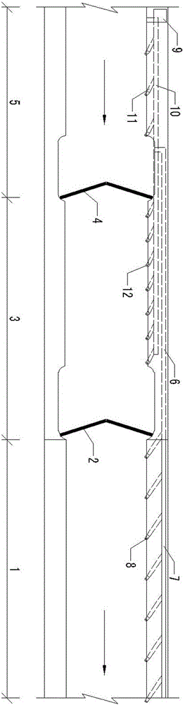 Program control circulating jet flow and light fish inducing system for ship lock or ship lifting machine