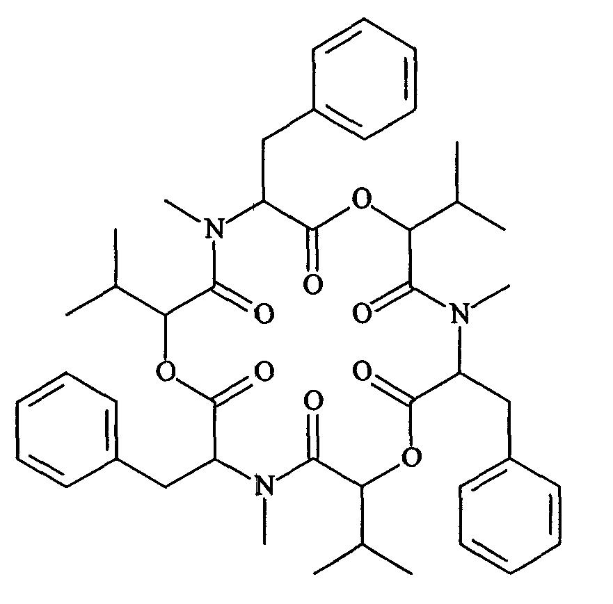 Dioscorea zingiberensis endogenesis fusarium capable of producing beauvericin and antibacterial activity thereof