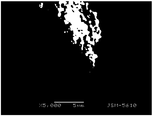 A kind of carbon dioxide crystal film on the surface of activated carbon fiber and its preparation method