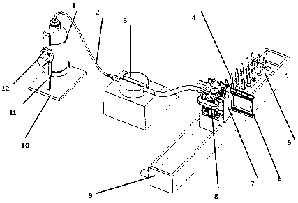 Automatic collection device for ampoule samples based on sterility testing process