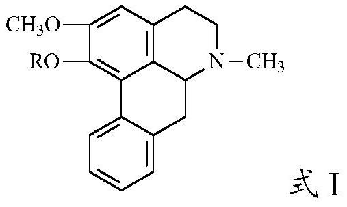 Nuciferine derivative as well as preparation method and application thereof