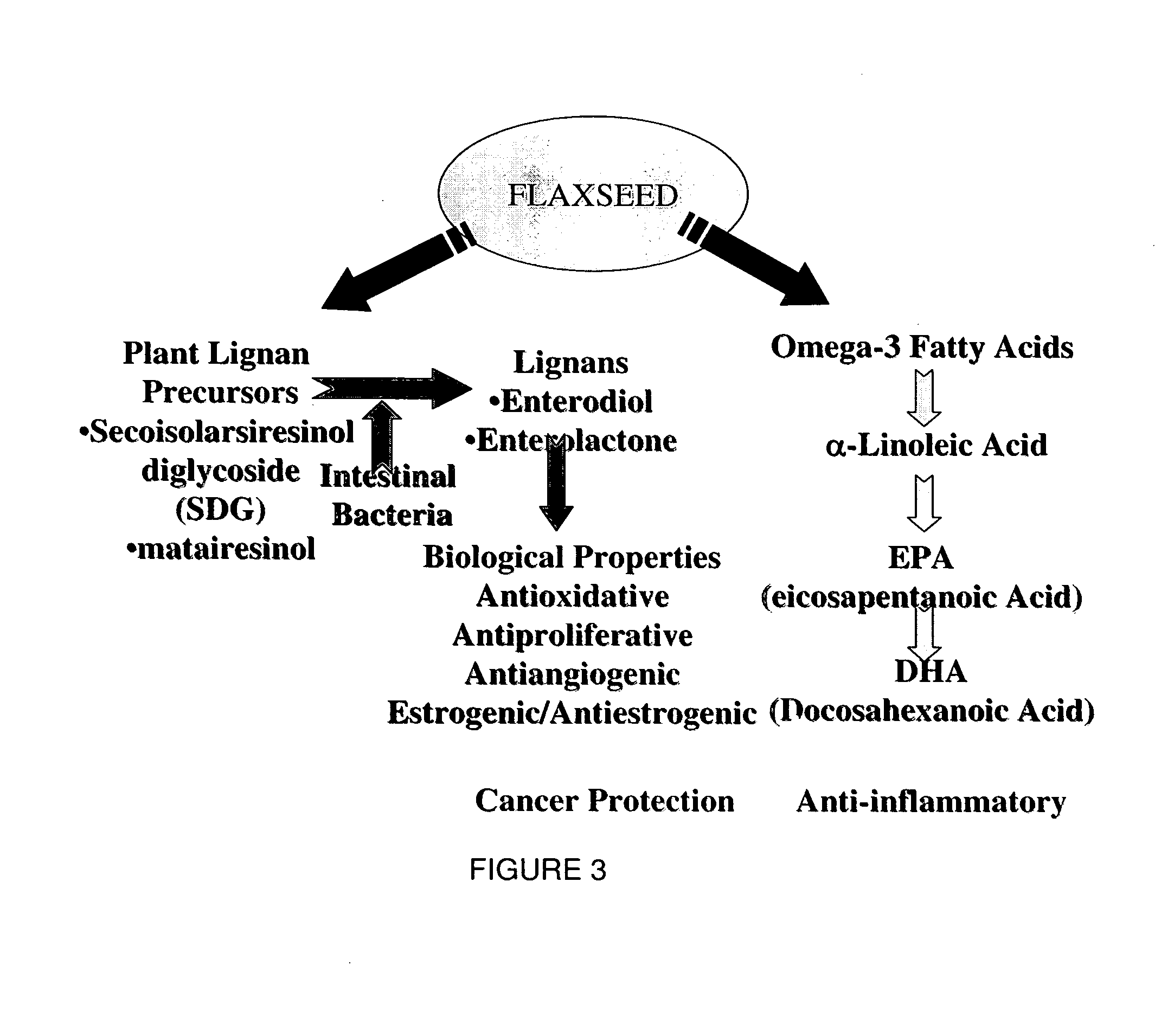 Flaxseed lignan complex, methods of using AMD compositions thereof