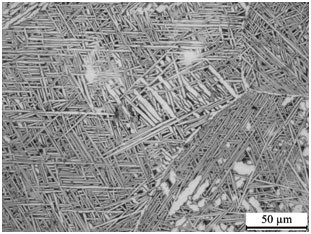 A kind of high temperature and high strength titanium alloy and its additive preparation method