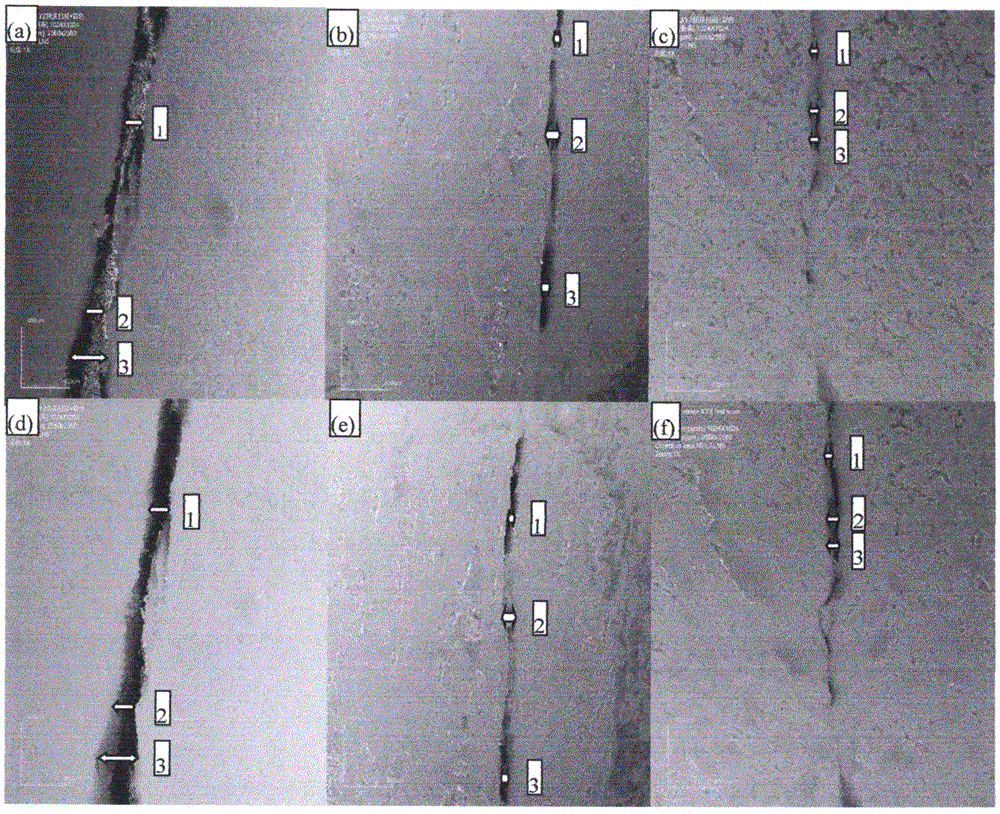 Method for testing accumulated damage effects of liquid nitrogen on fracture structures of water-containing coal samples