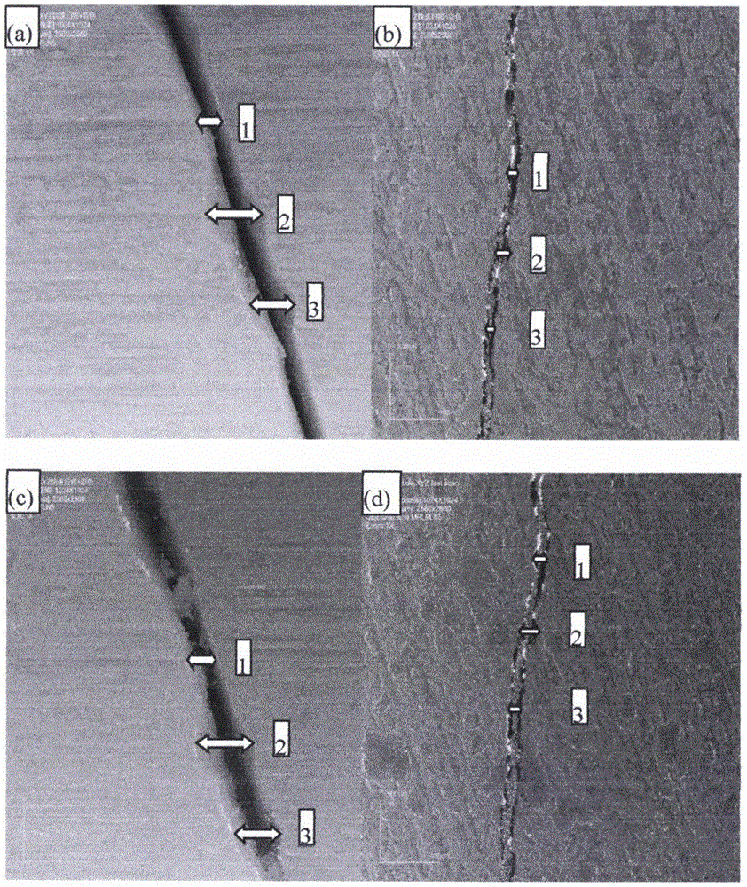 Method for testing accumulated damage effects of liquid nitrogen on fracture structures of water-containing coal samples