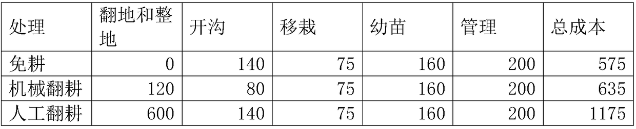 Method for non-tillage cultivation of flowering Chinese cabbages in winter-fallowed rice field in middle and lower reaches of Yangtze River