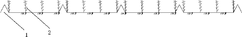 Method for irrigating forage maize