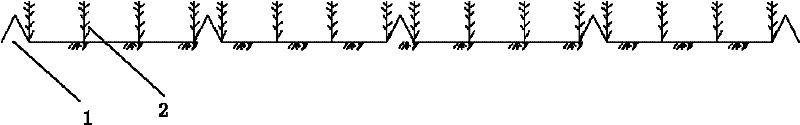 Method for irrigating forage maize