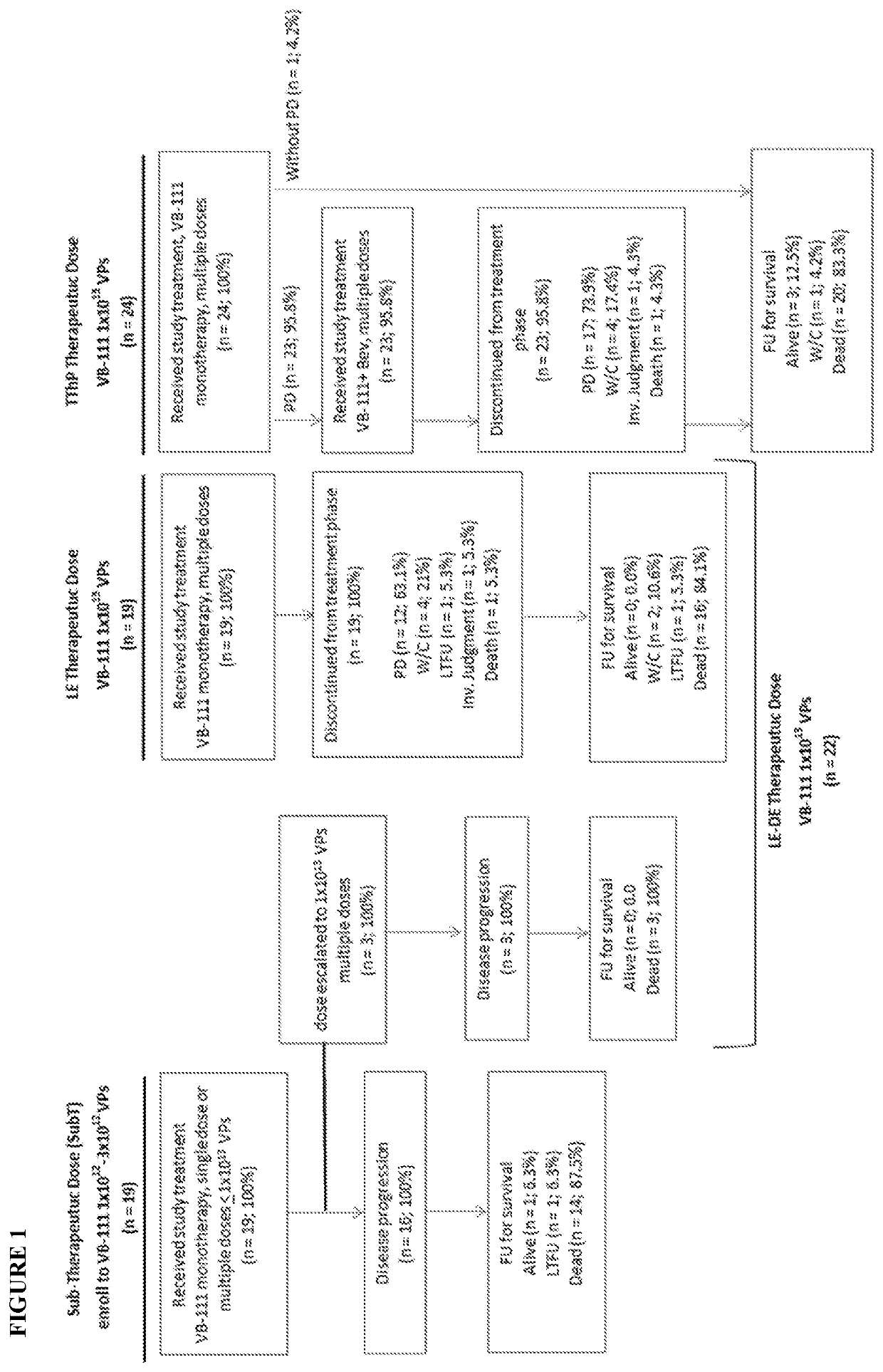 Diagnostic methods for Anti-angiogenic agent therapy