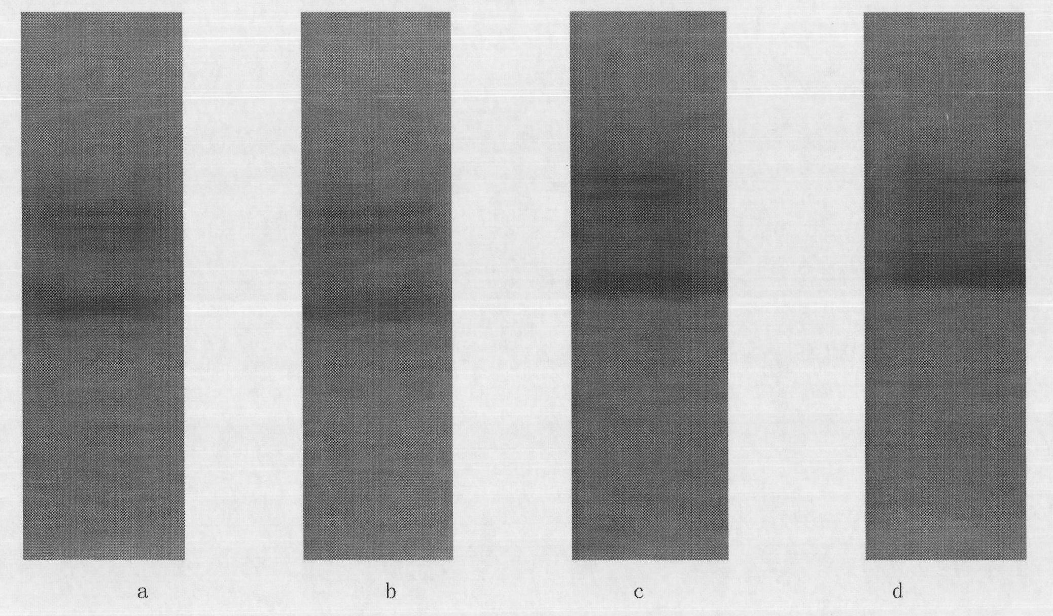 Method for carrying out gene mutation detection on cell-free system by HRM technology