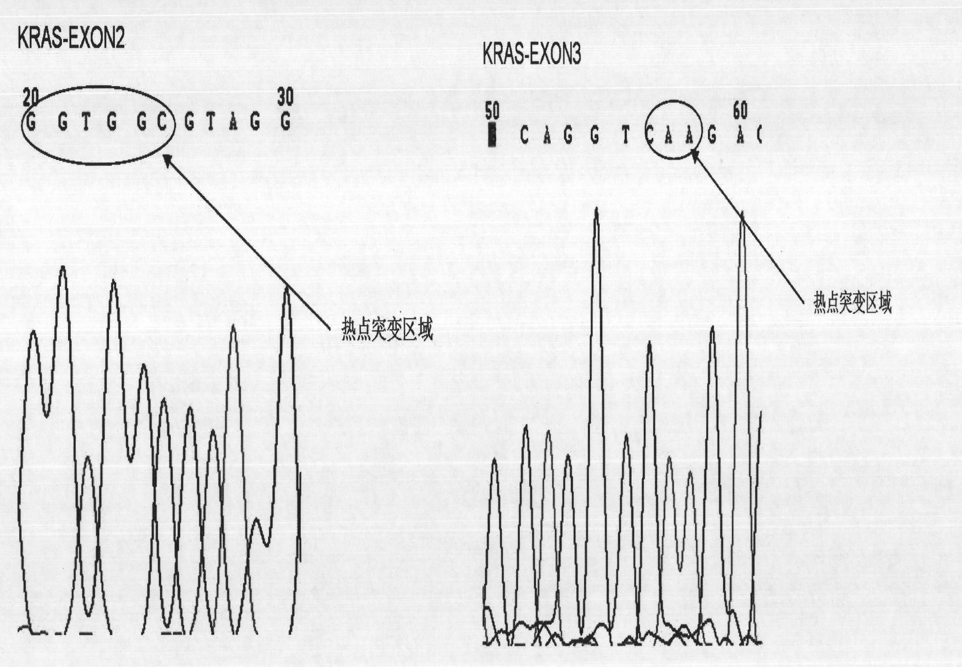 Method for carrying out gene mutation detection on cell-free system by HRM technology