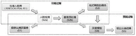 Face image gender recognition system based on stack type sparse self-coding