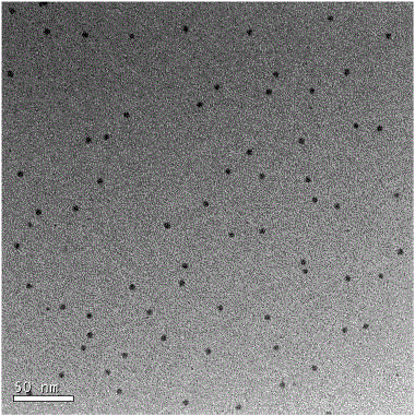 Preparation method for food-grade small-grain-size nano-silver sol