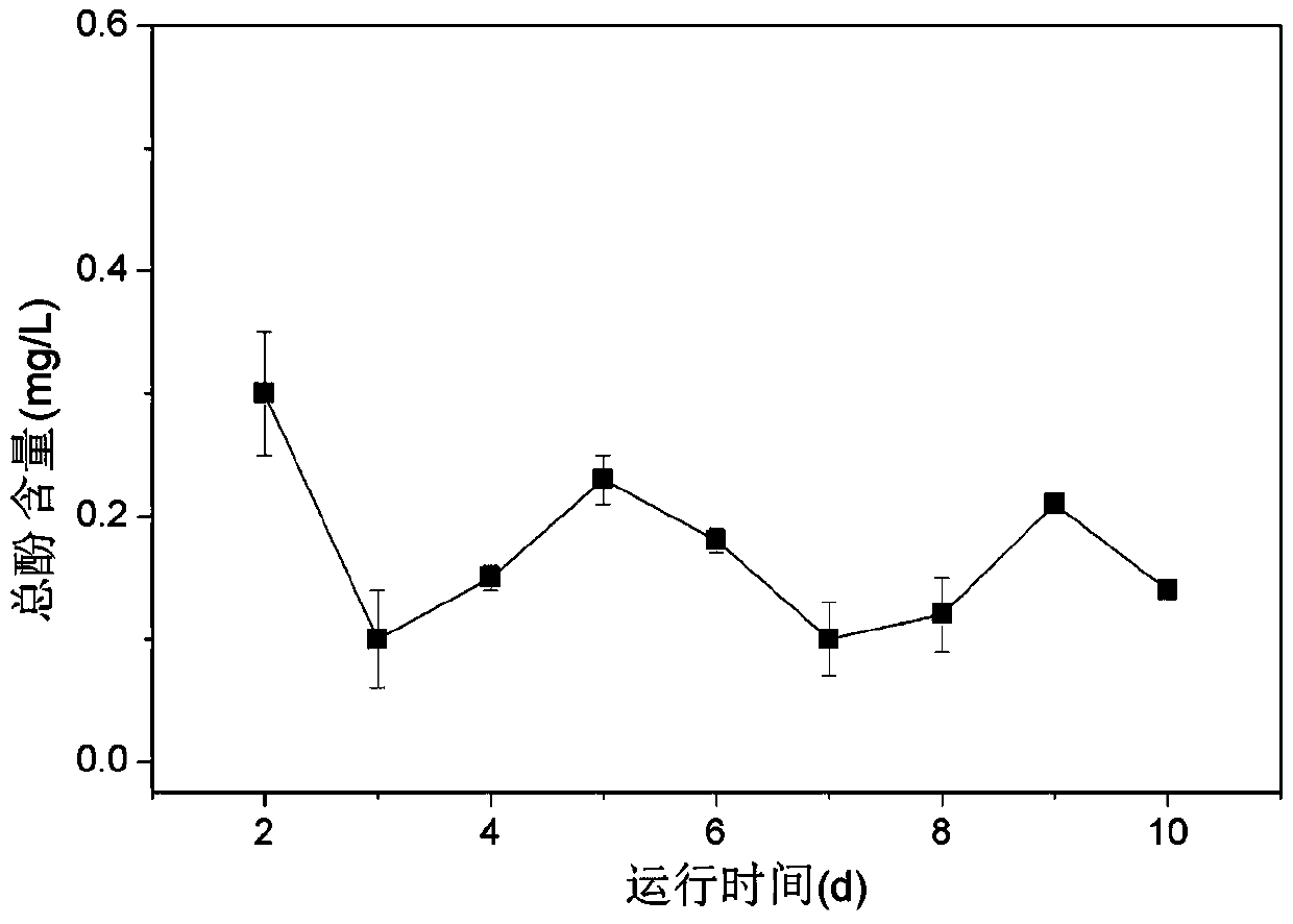 Device and method for treating phenol-containing coal chemical industry wastewater by advanced oxidation method in cooperation with immobilized white-rot fungi