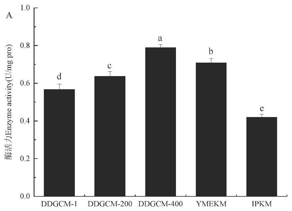 Flammulina velutipes mitochondria extraction method