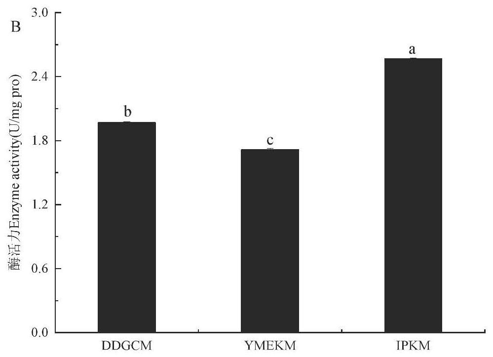 Flammulina velutipes mitochondria extraction method