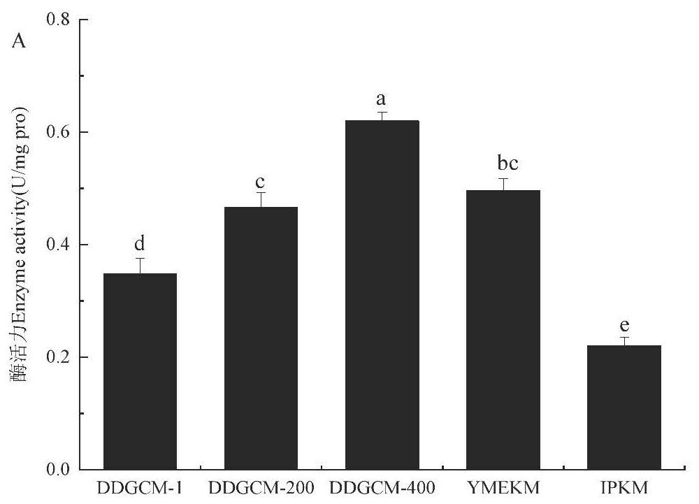 Flammulina velutipes mitochondria extraction method