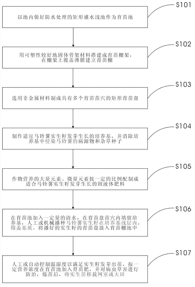 Potato seed facility seedling raising method