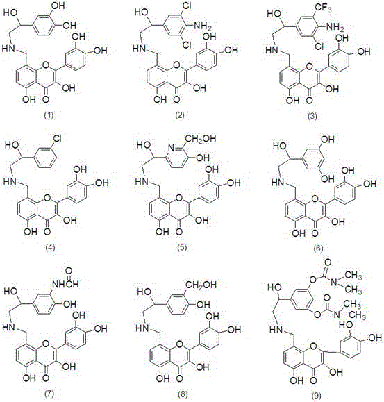 Arylethanolamine quercetin derivative as well as preparation method and application thereof