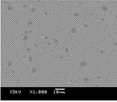 Nickel-coated graphite self-lubricating composite material and application thereof