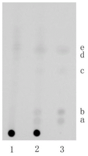 Method for rapid screening of 10 kinds of illegally added chemicals in Xiaohuoluo Pills