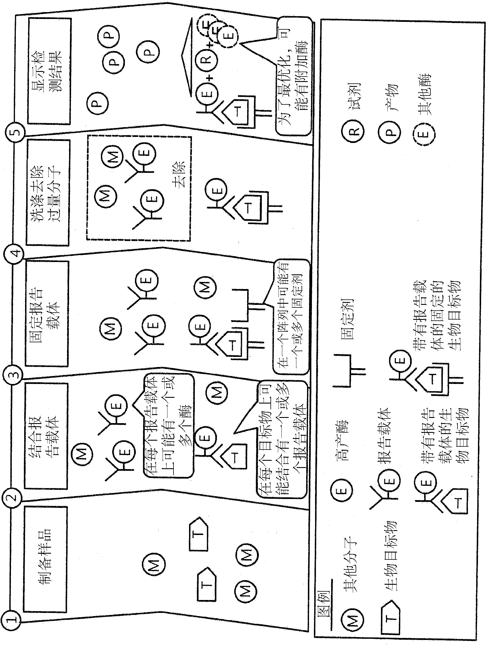 Molecular diagnostic assay device and method of use